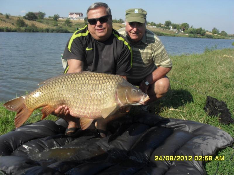 CRAPI CUMPARATI SI ELIBERATI IN MOARA VLASIEI 2 - CRAP COMUN = 21,0 KG